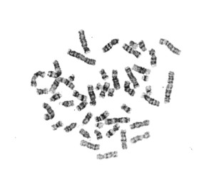 52th_M1