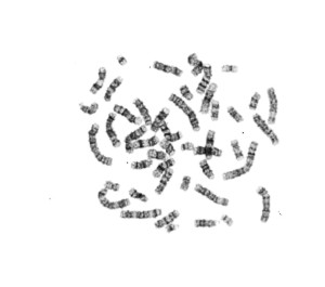 52th_M2b