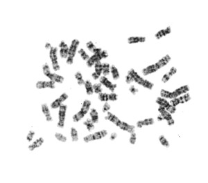 M01