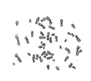 M02